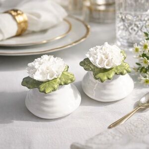 Vintage Aynsley Bone China Rose Carnation Salt and Pepper Shakers